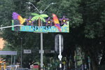 Primer_Parque_Laureles_282729.JPG